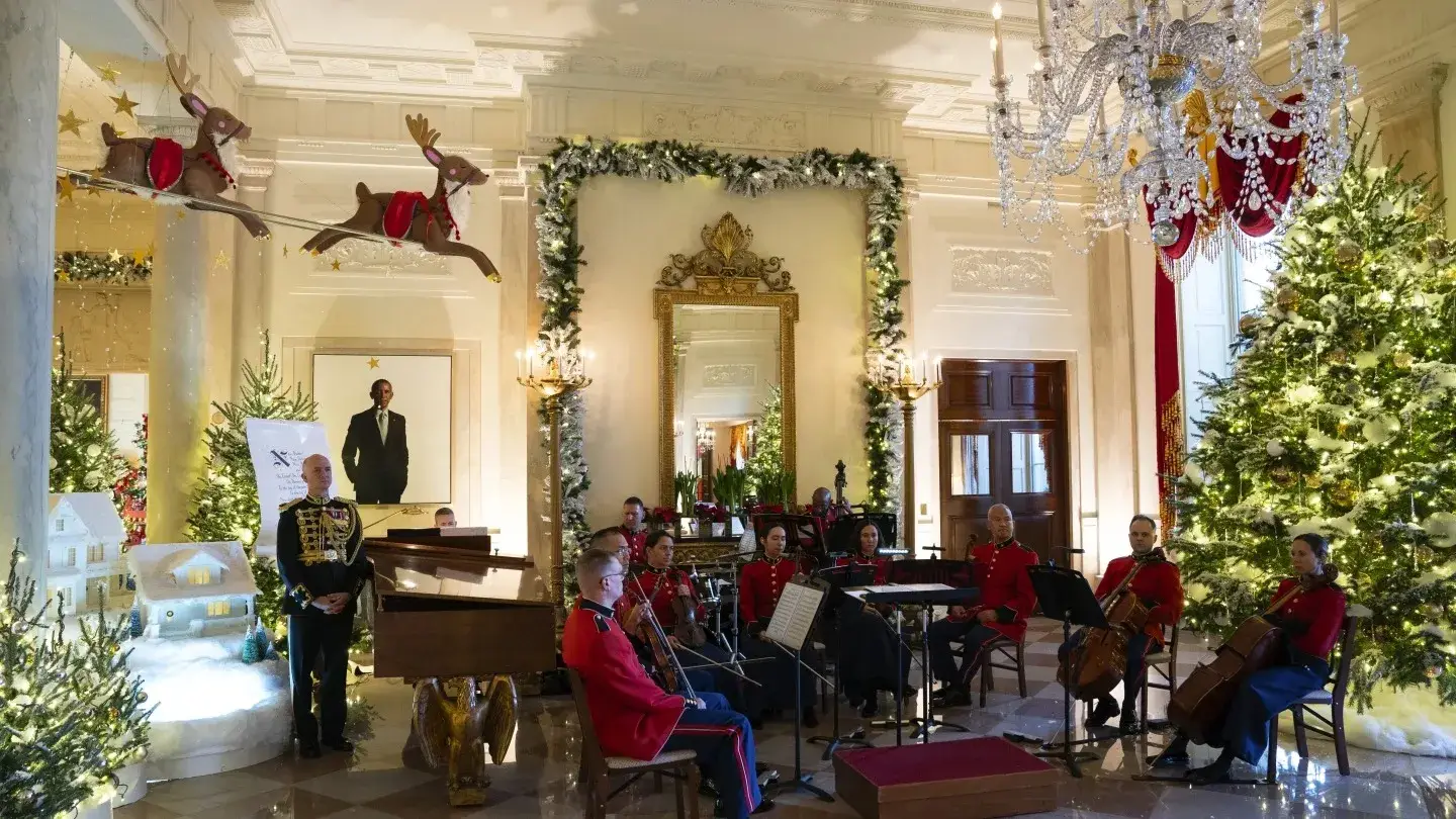 Description of the pic