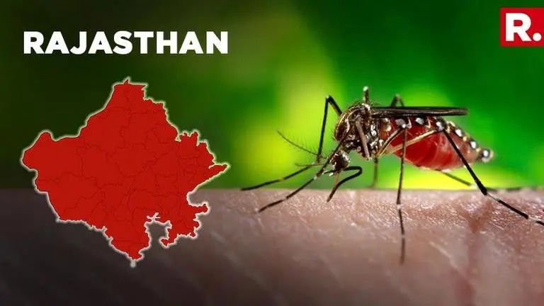 Zika Virus On The Rise, Around 120 People Tested Positive In Rajasthan Zika Virus On The Rise, Around 120 People Tested Positive In Rajasthan