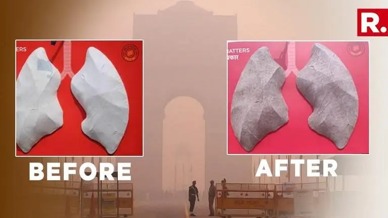 SHOCKING: Here's how long Delhi's 'artificial lung' took to turn from white to black under prevailing air pollution SHOCKING: Here's how long Delhi's 'artificial lung' took to turn from white to black under prevailing air pollution