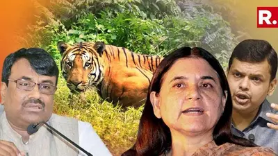 Maharashtra government will conduct an 'in-dept' probe into killing of tigress Avni Maharashtra government will conduct an 'in-dept' probe into killing of tigress Avni