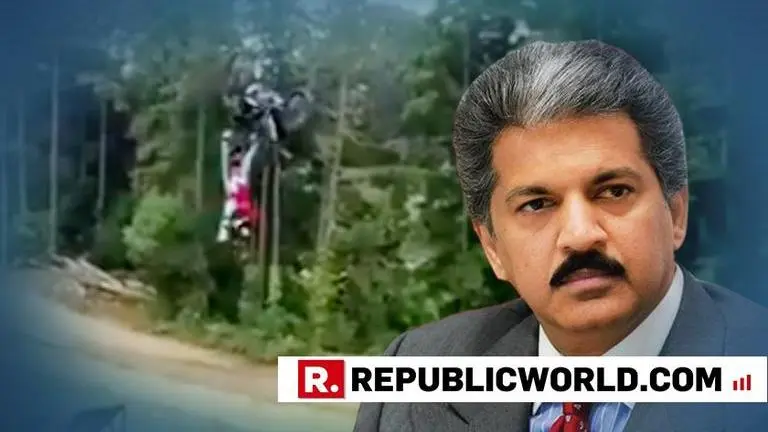 Anand Mahindra shares apt video to show how 'we all feel on a Friday after a gruelling week'