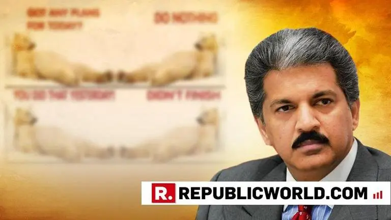 Business tycoon Anand Mahindra shows how his Sunday looks like