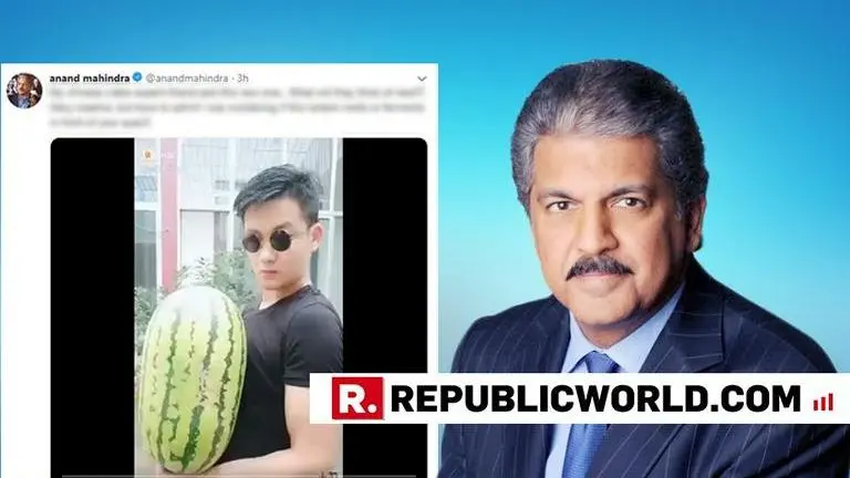 'Melts or ferments?', Anand Mahindra's 'Chinese-video-expert-friend' leaves him wondering