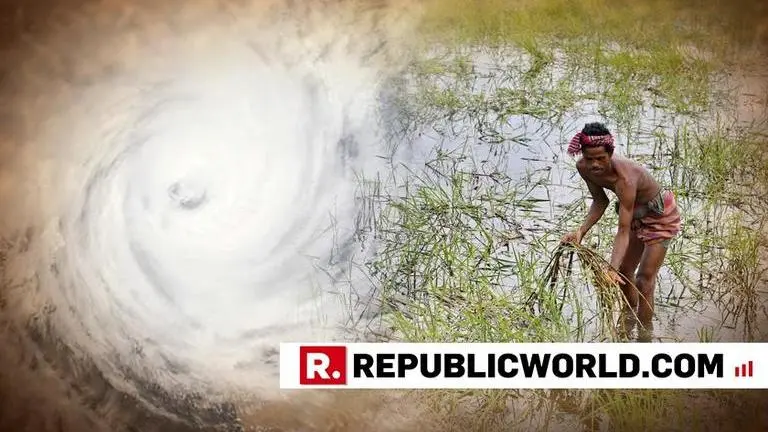 Odisha to assess crop damage caused by Cyclone Phethai Odisha to assess crop damage caused by Cyclone Phethai