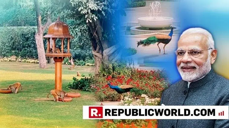 JUST WATCH THIS: PM Modi gives picture perfect glimpse into 7-LKM, tells majestic critters he'll see them again in 3 days JUST WATCH THIS: PM Modi gives picture perfect glimpse into 7-LKM, tells majestic critters he'll see them again in 3 days