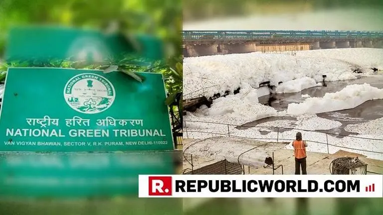 Unhappy with Yamuna cleaning, NGT asks Delhi, Haryana, Uttar Pradesh to deposit Rs 10 crore each Unhappy with Yamuna cleaning, NGT asks Delhi, Haryana, Uttar Pradesh to deposit Rs 10 crore each
