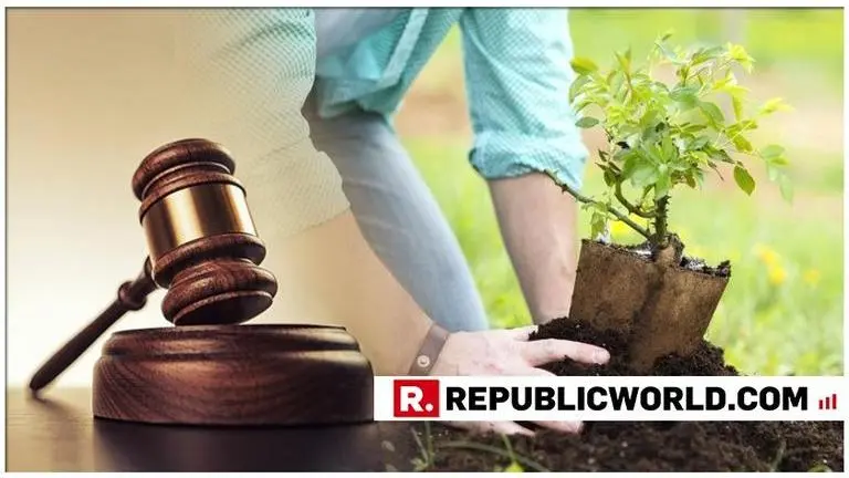 Delhi HC orders 2G accused to plant 3,000 trees for failure to file replies in ED appeal