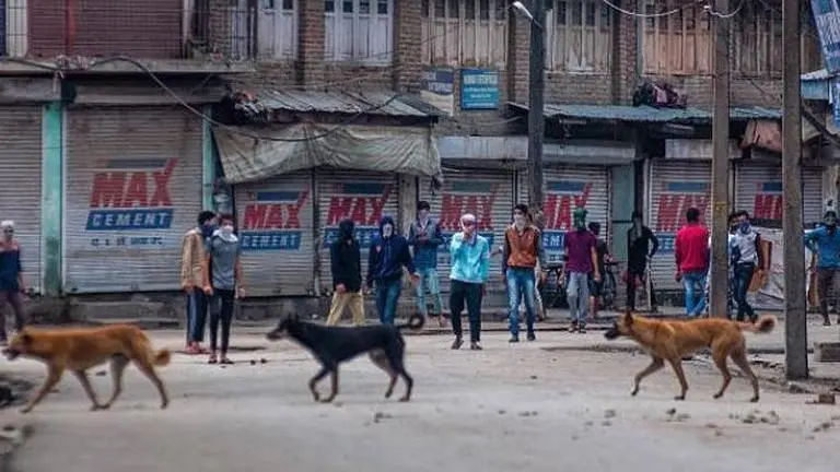 Madhya Pradesh man bites another man who was trying to save the dog he was beating