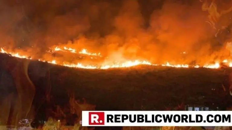 Mumbai region witnessed 1,100 wildfires since 2015, green area of 6,533 acres decimated: RTI query Mumbai region witnessed 1,100 wildfires since 2015, green area of 6,533 acres decimated: RTI query