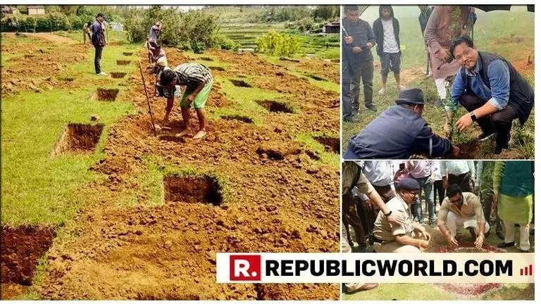 One million saplings planted in Meghalaya on Environment Day One million saplings planted in Meghalaya on Environment Day