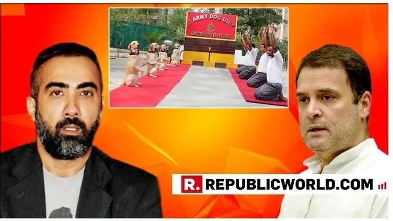'New India will actually be when you & your family quit politics': Ranvir Shorey fumes at Rahul Gandhi after Congress President tweeted pictures mocking Army Dog Unit on Yoga Day