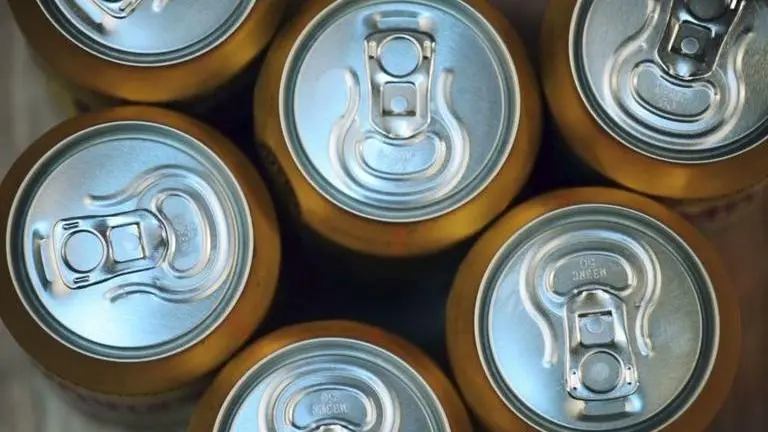 As shards of beer bottles pose threat to animals in Mount Abu, authorities to promote beer cans