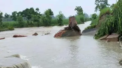 Bihar floods: Five children die after drowning in pit, flood related death toll in state rises to 92 Bihar floods: Five children die after drowning in pit, flood related death toll in state rises to 92