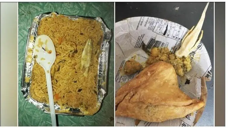 Man's fraud alleging 'lizard in railway' meal busted, modus operandi revealed. Read full story