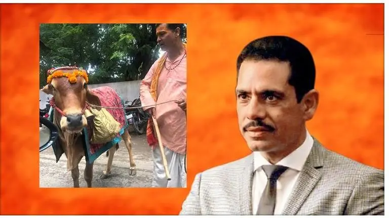 Robert Vadra shares video of 'sacred cow' that can predict future, says 'love being part of this amazing country'