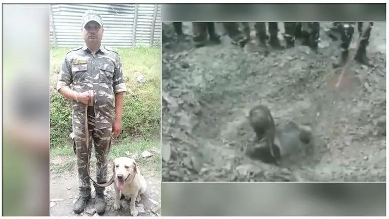 CRPF dog saves life of a man trapped in a landslide in Jammu & Kashmir, watch the rescue