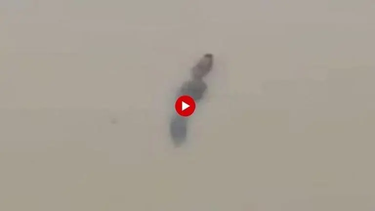 Vadodara Floods: Citizens, authorities and even dogs battle Crocodiles from Vishwamitri river Vadodara Floods: Citizens, authorities and even dogs battle Crocodiles from Vishwamitri river