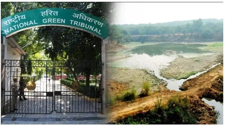 NGT directs DDA to rejuvenate Neela Hauz lake without delay NGT directs DDA to rejuvenate Neela Hauz lake without delay