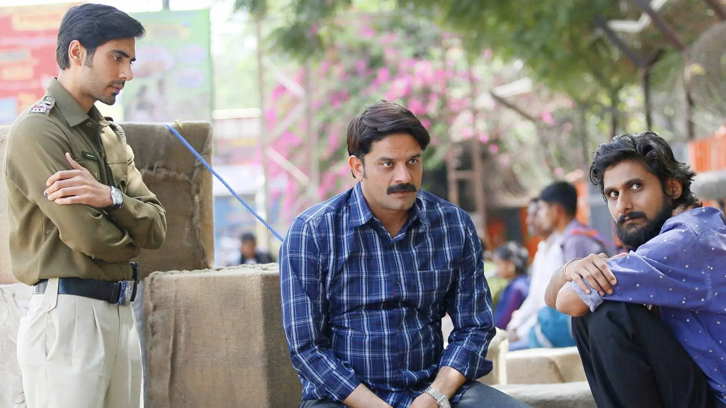 Description of the pic