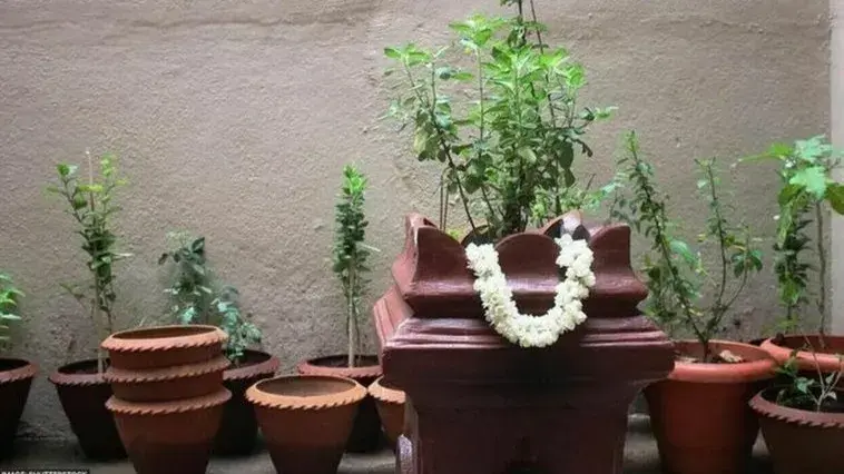 Tulsi Puja