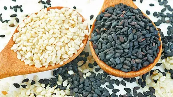 Makar Sankranti 2024: Why Eating Sesame Seeds Is Important On This Harvest Festival? seasame seeds