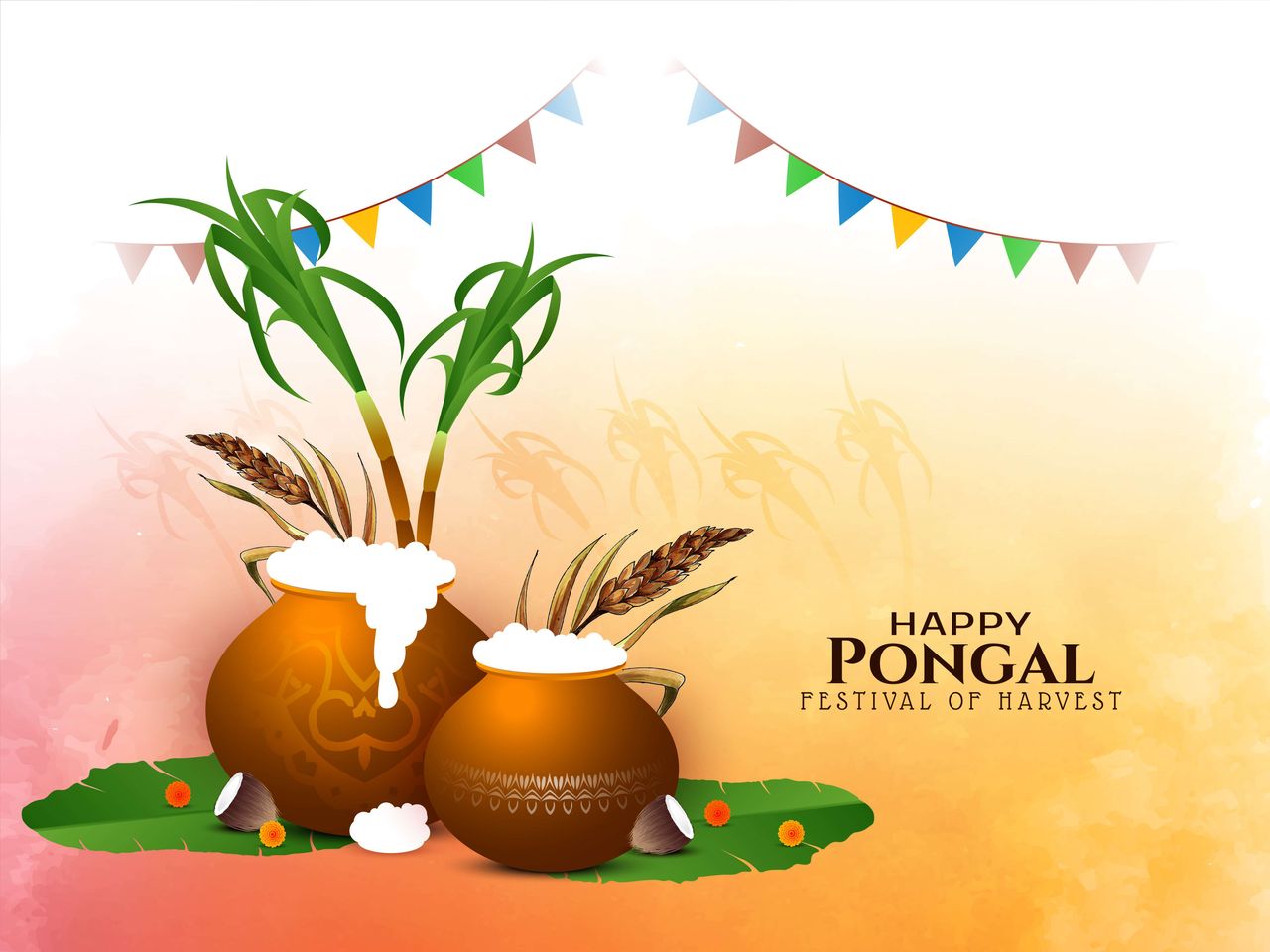 Pongal 2024 Date, significance, traditions of the four days long
