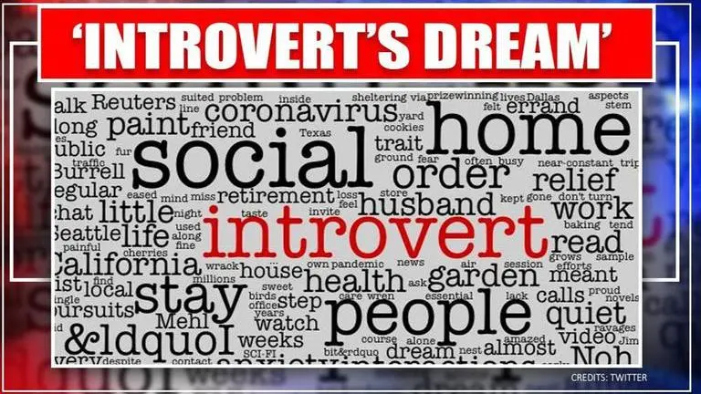 These tweets prove coronavirus lockdown is introverts' paradise Coronavirus lockdown: Tweets of happy introverts breaks the internet