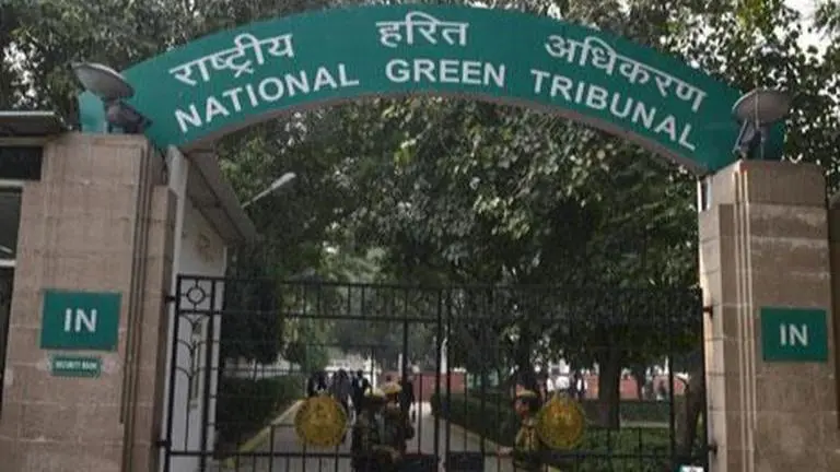 NGT directs CPCB to submit compliance report on its order banning nylon and synthetic manja National Green Tribunal