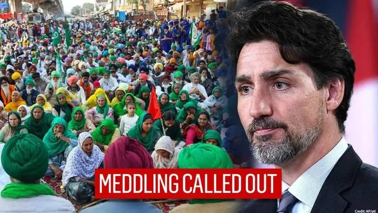 Indian Ambassadors’ Group calls out Canada's vote-bank politics amid PM Trudeau's meddling Canada