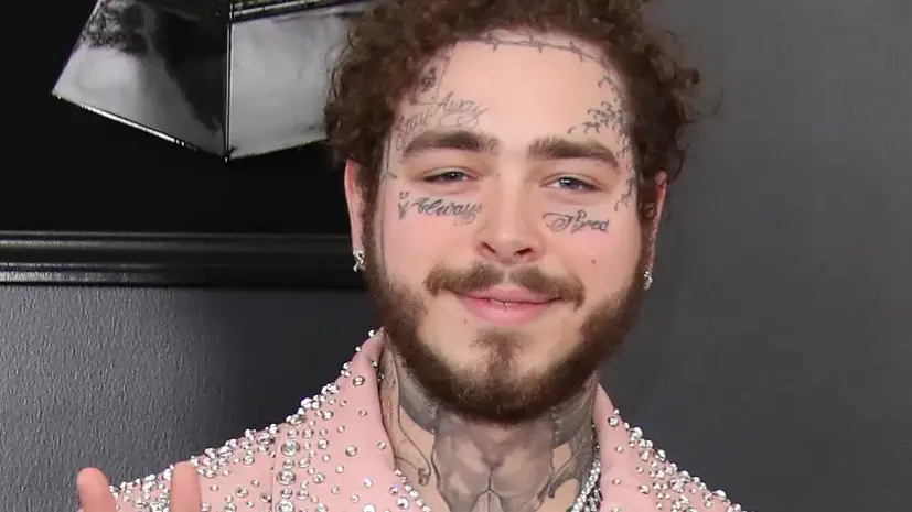 Description of the pic