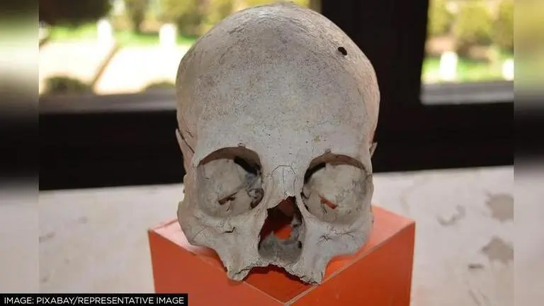 Early human fossils discovered in South Africa 1MN yrs older than original findings: Study Early humans