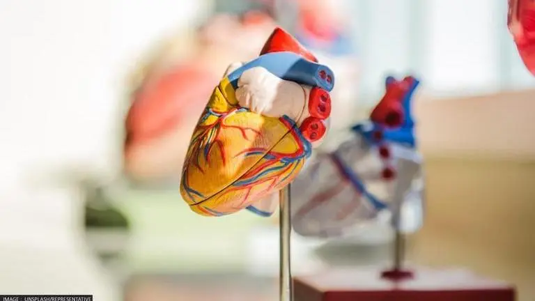 Scientists develop graphene 'tattoo' to treat heart disorder heartbeat