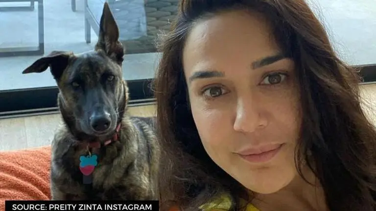 Preity Zinta rings in her 'big scary dog' Bruno's birthday; says 'loved the puppy days' Preity Zinta