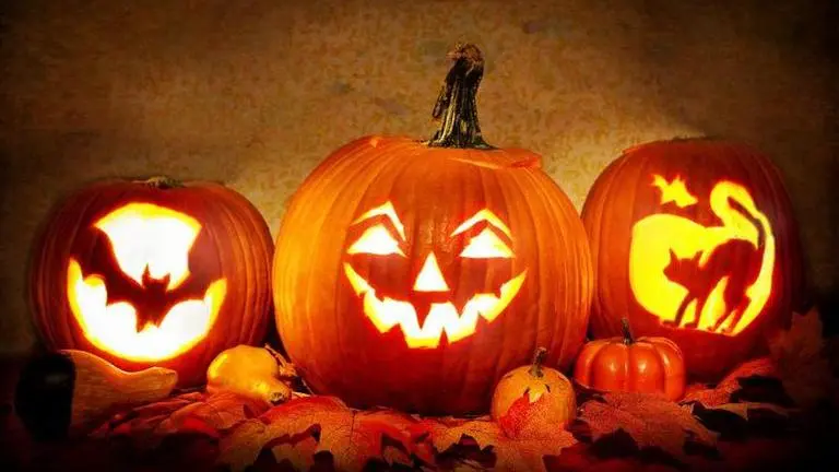 halloween captions for instagram