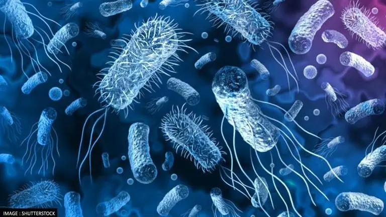 Lebanon announces first cholera case in almost 30 years Cholera