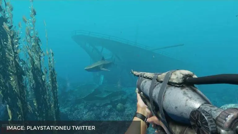 where to find fibrous leaves in stranded deep