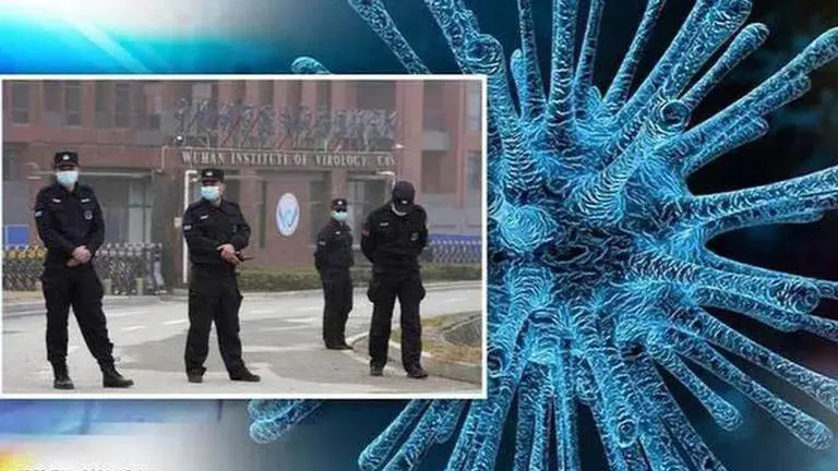 COVID-19: US intelligence agency accesses massive genetic data from China's Wuhan lab Wuhan