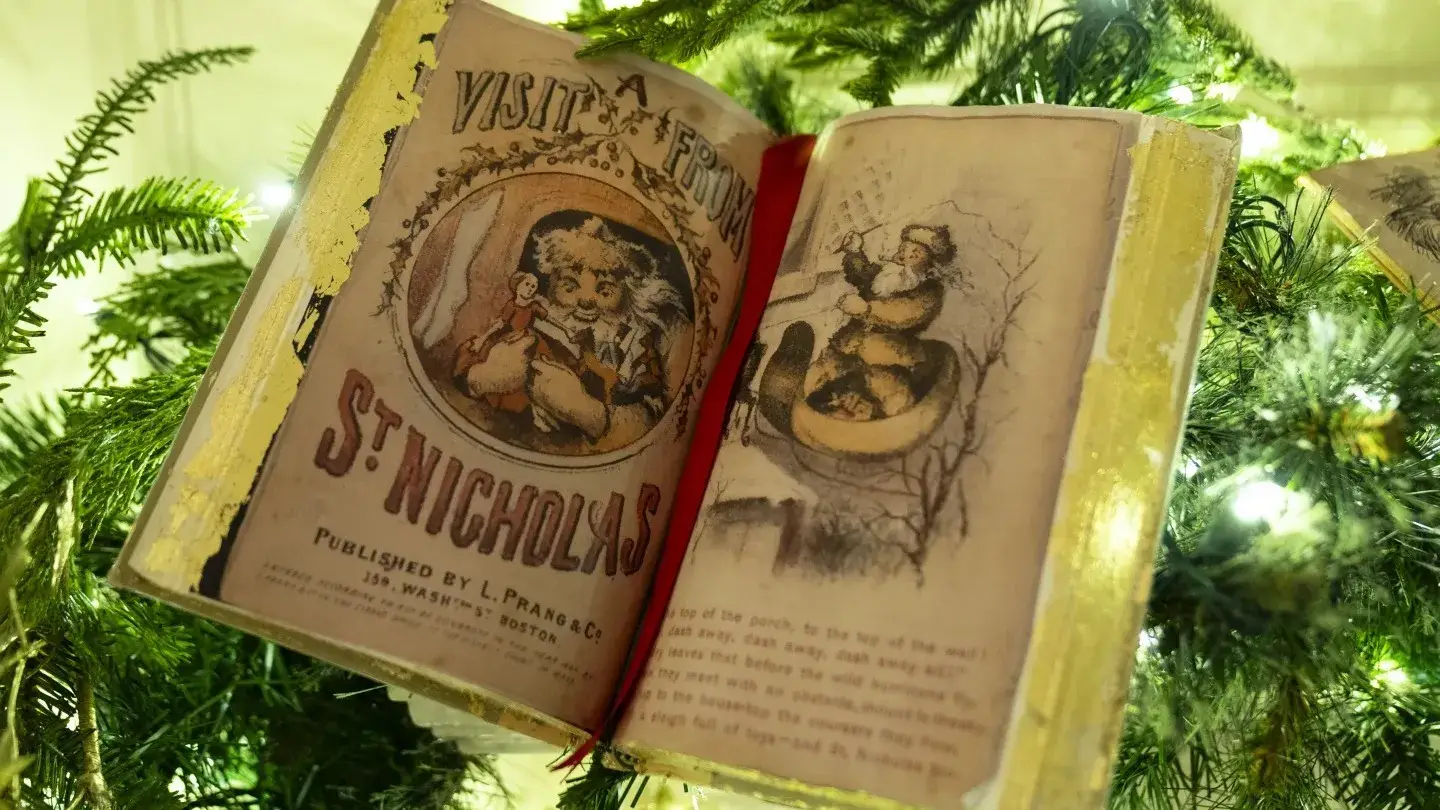 Description of the pic