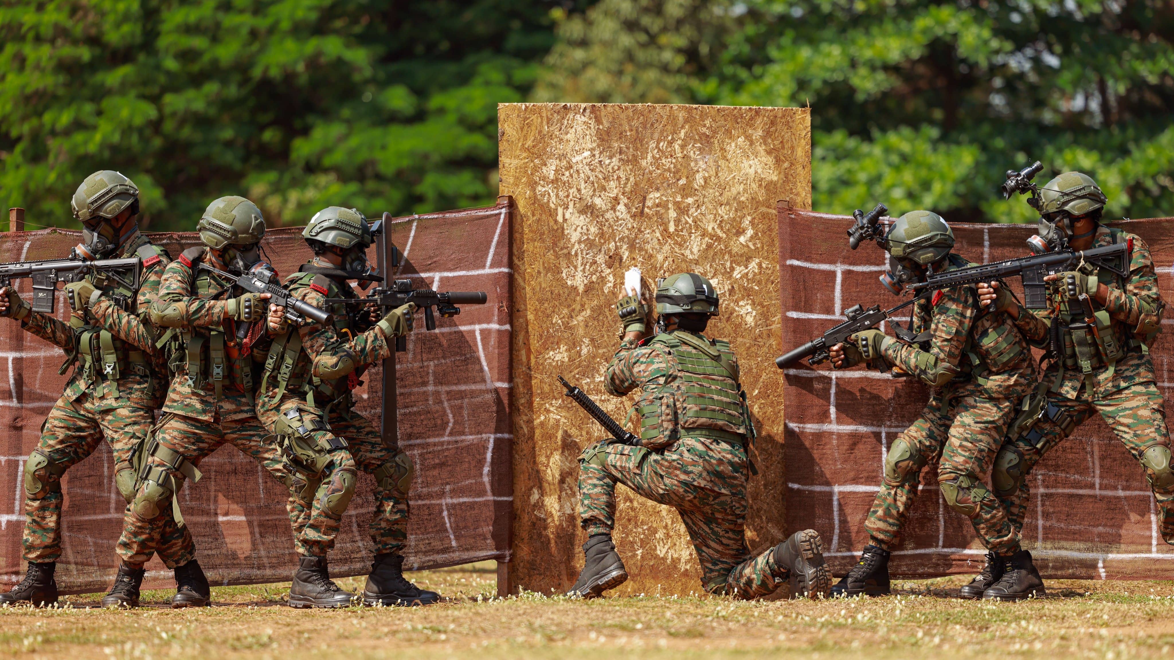 Description of the pic