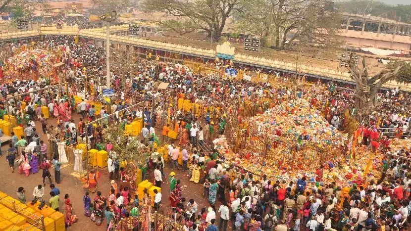 Telangana’s Sammakka Saralamma Jathara: India's Biggest Tribal Festival Celebrates Resilience Sammakka Saralamma Jathara