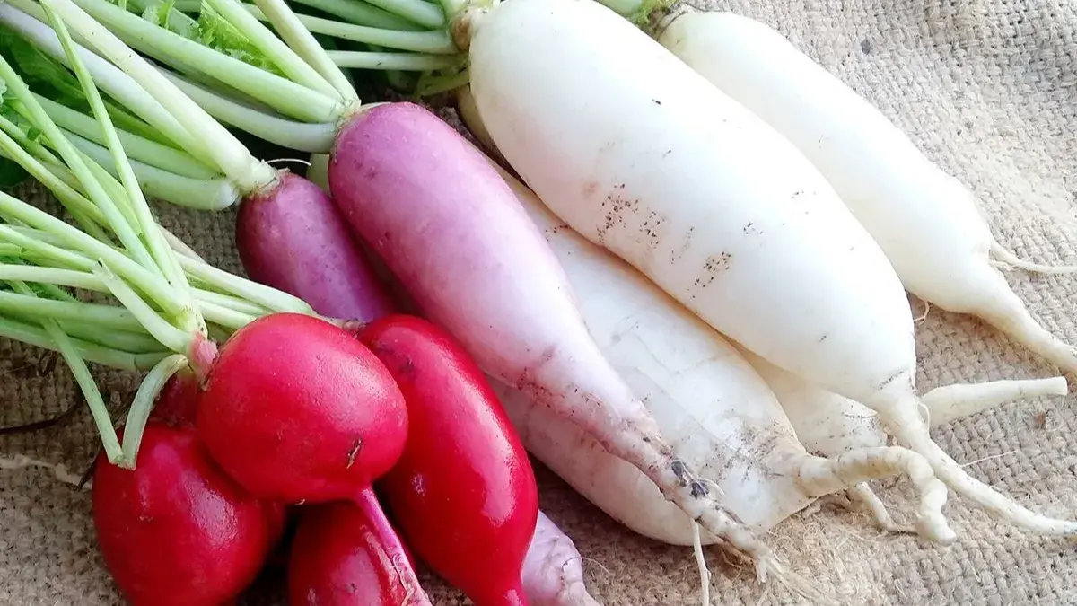 Top 10 winter fruits and vegetables you must include in your diet today