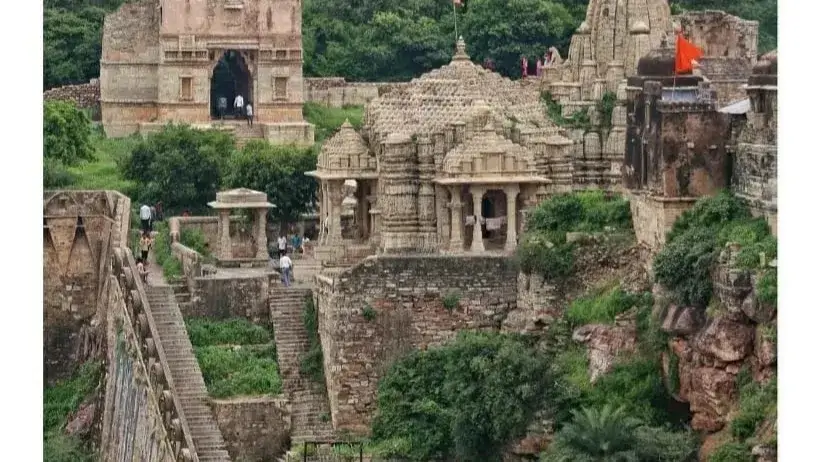 Description of the pic