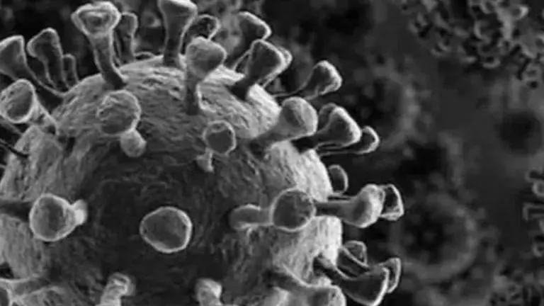 6 workers of diamond unit in Bhavnagar test COVID-19 positive