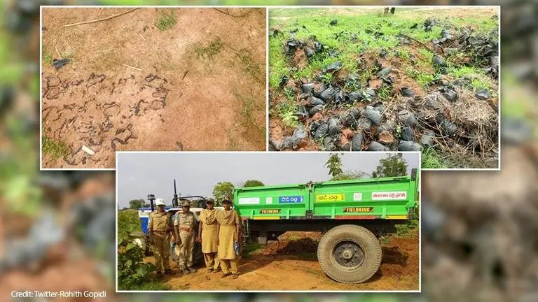 Saplings 'planted' in plastic bags, IFS officer's cleanup operation wins wide appreciation plastic pollution