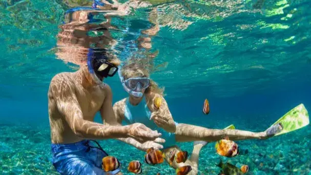 Snorkeling