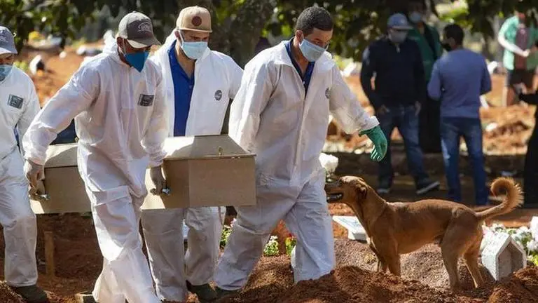 Brazil records 1,022 new fatalities from COVID-19, death toll soars to 49,976 Brazil: 1,022 new coronavirus deaths, death toll nears 50,000