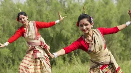 Description of the pic