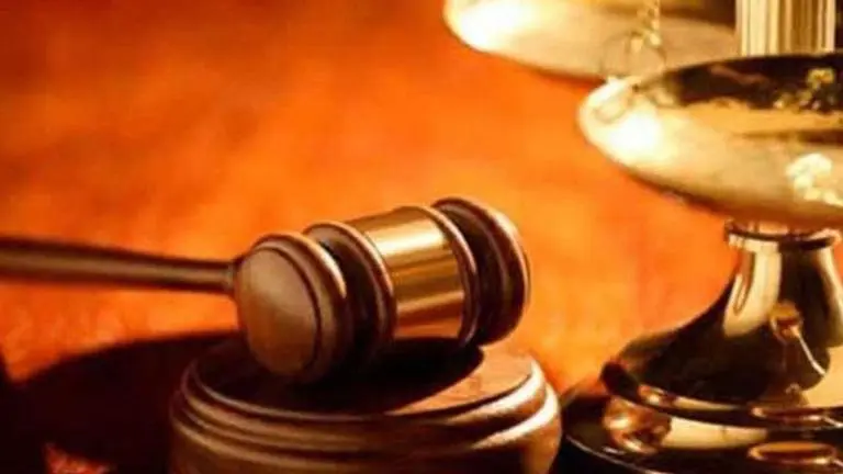 Gujarat HC: PIL seeks saffron colour for 'Made in India' products on e-commerce websites Gujarat