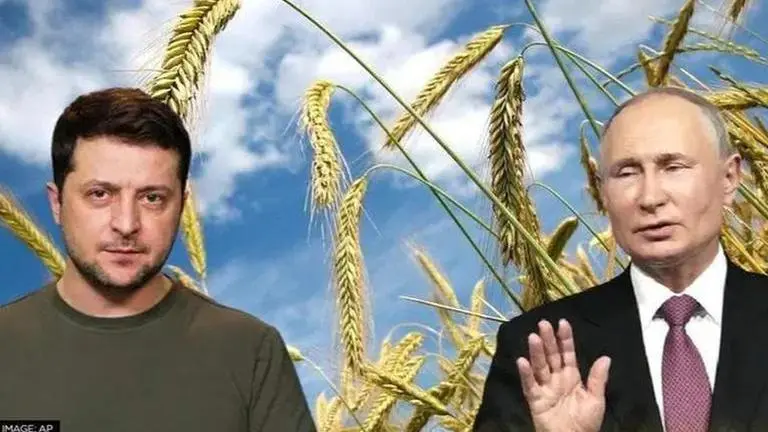 EXPLAINED: How is Russia-Ukraine war causing a global food crisis? Ukraine