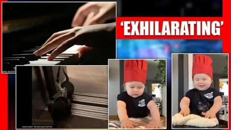 Good News: From 'baby baker' to 'boss puppy', heartwarming stories of the day Good News